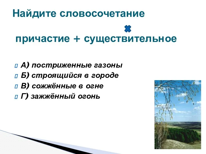 А) постриженные газоны Б) строящийся в городе В) сожжённые в