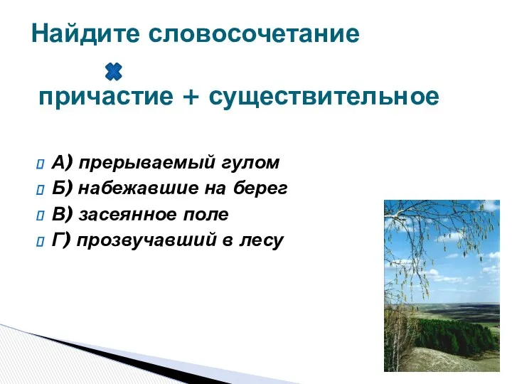 А) прерываемый гулом Б) набежавшие на берег В) засеянное поле