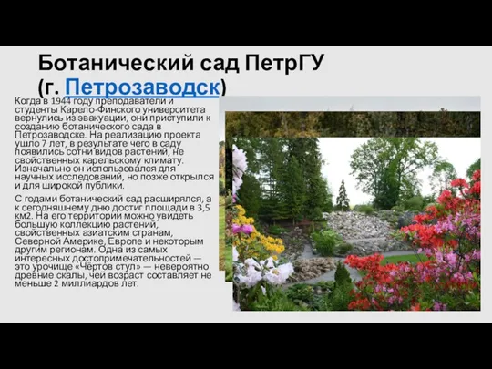 Ботанический сад ПетрГУ (г. Петрозаводск) Когда в 1944 году преподаватели и студенты Карело-Финского