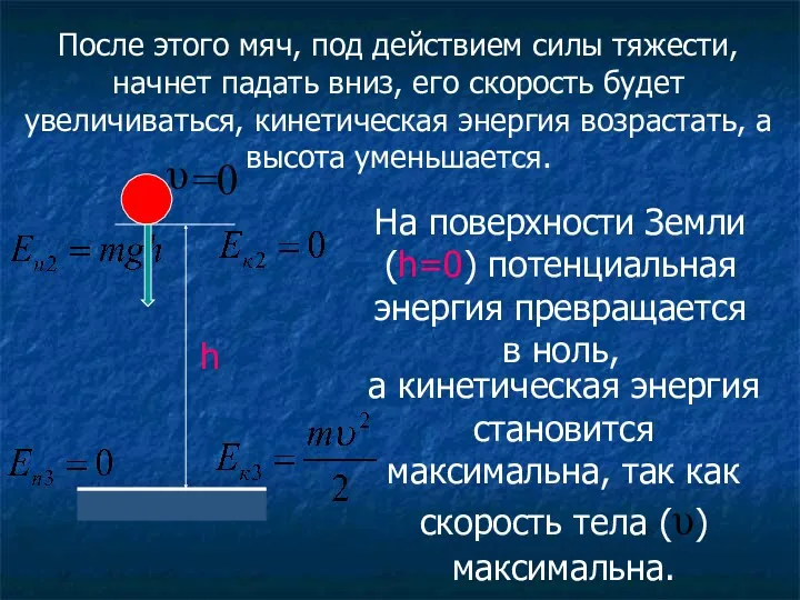 После этого мяч, под действием силы тяжести, начнет падать вниз,