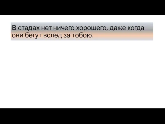 В стадах нет ничего хорошего, даже когда они бегут вслед за тобою.