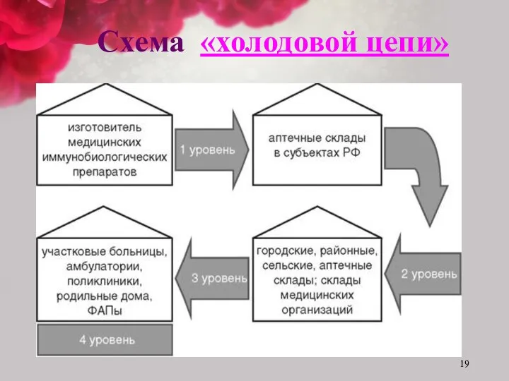 Схема «холодовой цепи»