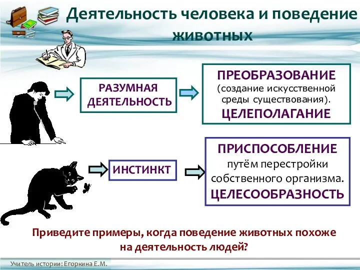 Приведите примеры, когда поведение животных похоже на деятельность людей? Деятельность человека и поведение животных