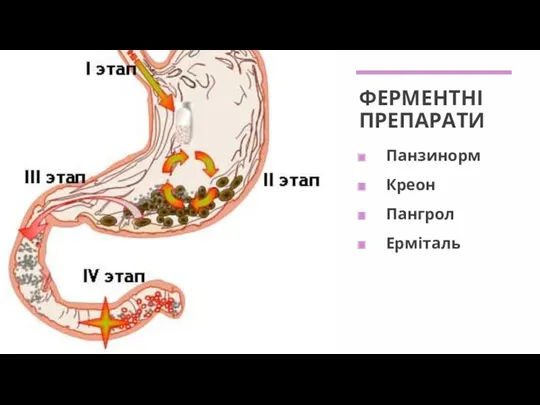 ФЕРМЕНТНІ ПРЕПАРАТИ Панзинорм Креон Пангрол Ерміталь