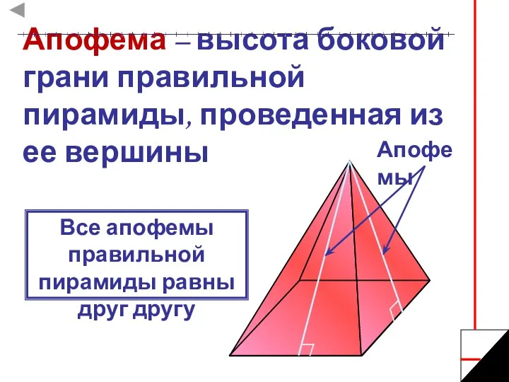 Апофема – высота боковой грани правильной пирамиды, проведенная из ее