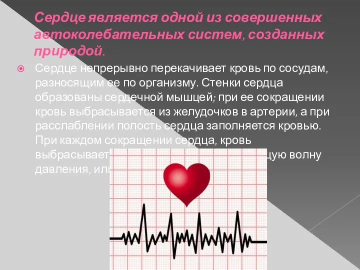 Сердце является одной из совершенных автоколебательных систем, созданных природой. Сердце