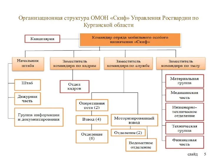 слайд Организационная структура ОМОН «Скиф» Управления Росгвардии по Курганской области