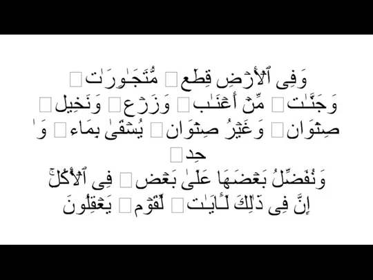 وَفِی ٱلۡأَرۡضِ قِطَعࣱ مُّتَجَـٰوِرَ ٰ⁠تࣱ وَجَنَّـٰتࣱ مِّنۡ أَعۡنَـٰبࣲ وَزَرۡعࣱ وَنَخِیلࣱ