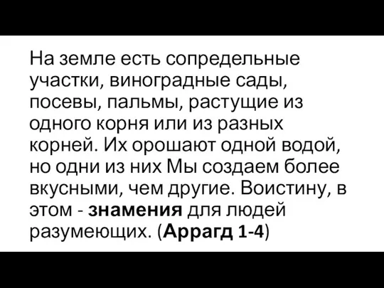 На земле есть сопредельные участки, виноградные сады, посевы, пальмы, растущие