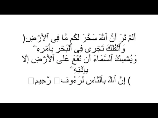 ﴿أَلَمۡ تَرَ أَنَّ ٱللَّهَ سَخَّرَ لَكُم مَّا فِی ٱلۡأَرۡضِ وَٱلۡفُلۡكَ