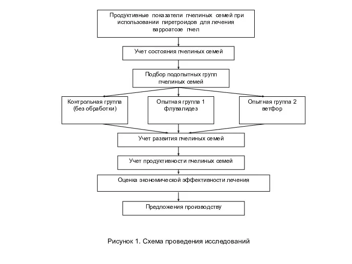 Рисунок 1. Схема проведения исследований