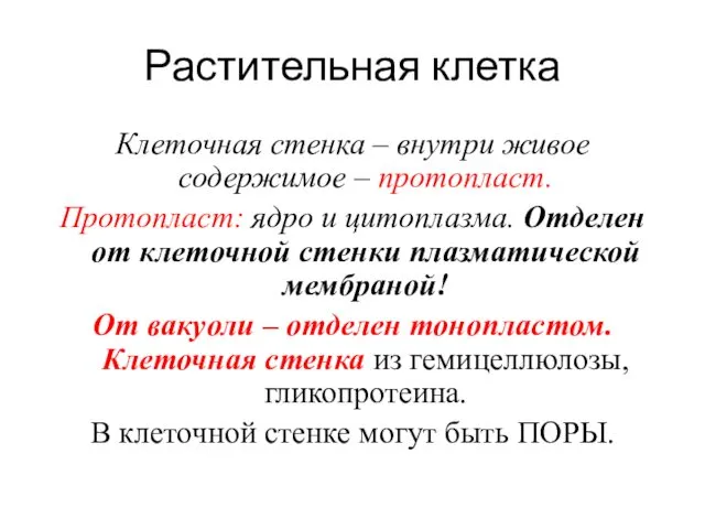 Растительная клетка Клеточная стенка – внутри живое содержимое – протопласт.