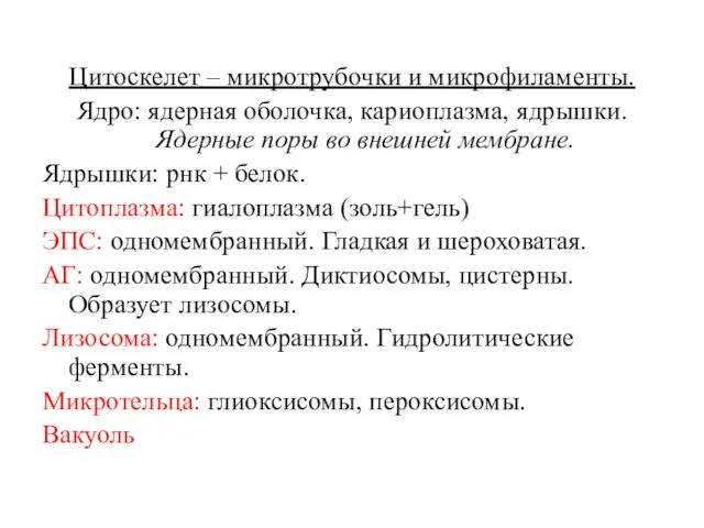 Цитоскелет – микротрубочки и микрофиламенты. Ядро: ядерная оболочка, кариоплазма, ядрышки.