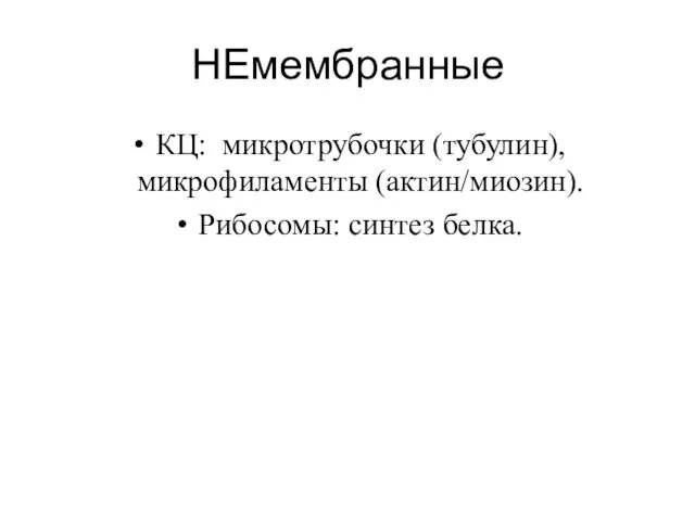 НЕмембранные КЦ: микротрубочки (тубулин), микрофиламенты (актин/миозин). Рибосомы: синтез белка.