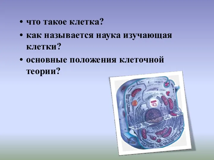 что такое клетка? как называется наука изучающая клетки? основные положения клеточной теории?