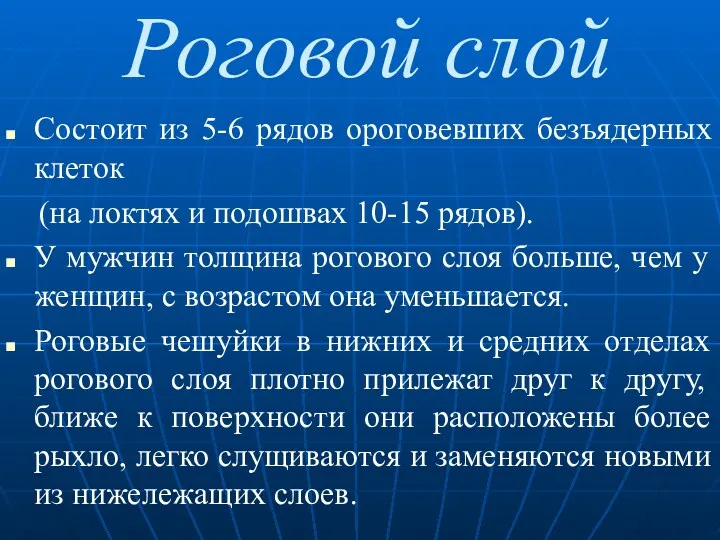 Роговой слой Состоит из 5-6 рядов ороговевших безъядерных клеток (на