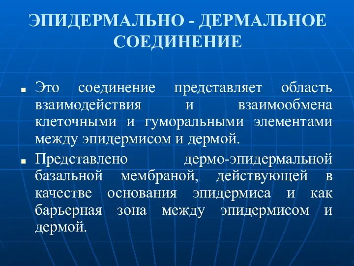 ЭПИДЕРМАЛЬНО - ДЕРМАЛЬНОЕ СОЕДИНЕНИЕ Это соединение представляет область взаимодействия и