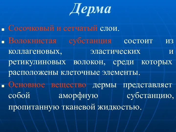 Дерма Cосочковый и сетчатый слои. Волокнистая субстанция состоит из коллагеновых,