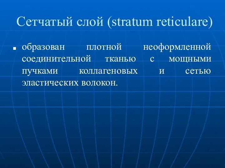 Сетчатый слой (stratum reticulare) образован плотной неоформленной соединительной тканью с