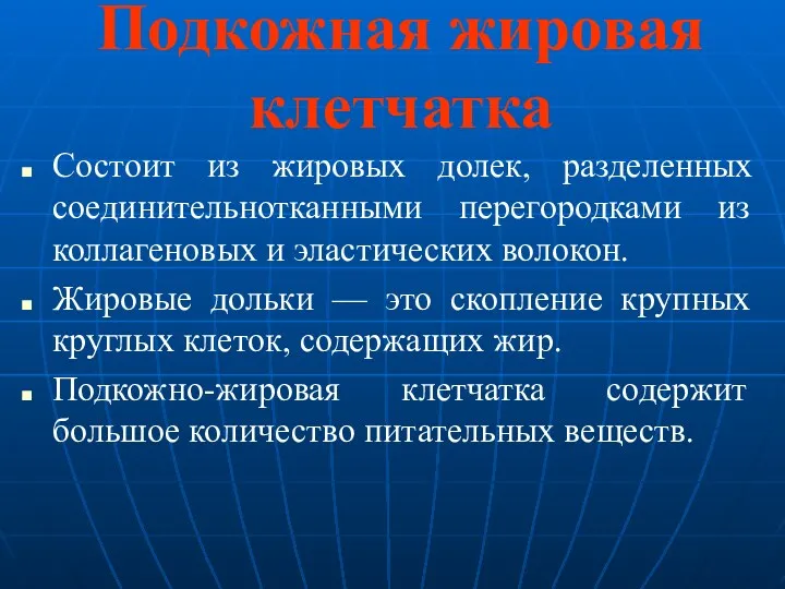 Подкожная жировая клетчатка Состоит из жировых долек, разделенных соединительнотканными перегородками