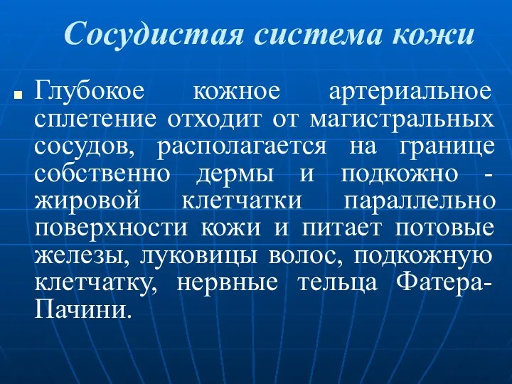 Сосудистая система кожи Глубокое кожное артериальное сплетение отходит от магистральных