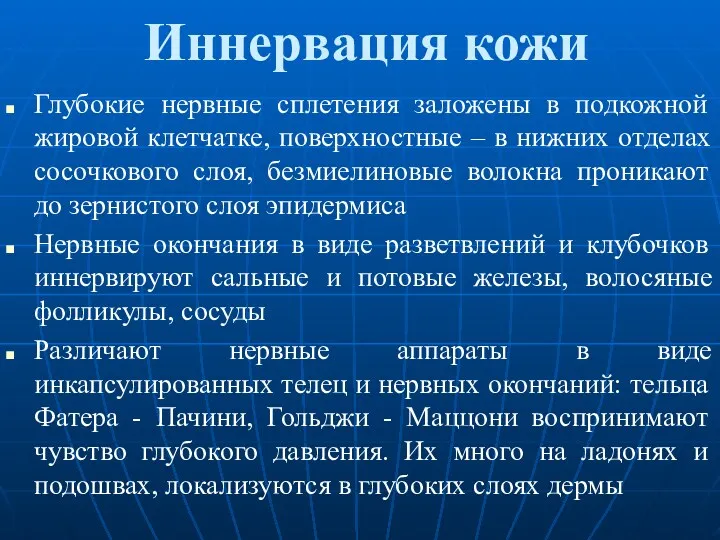 Иннервация кожи Глубокие нервные сплетения заложены в подкожной жировой клетчатке,