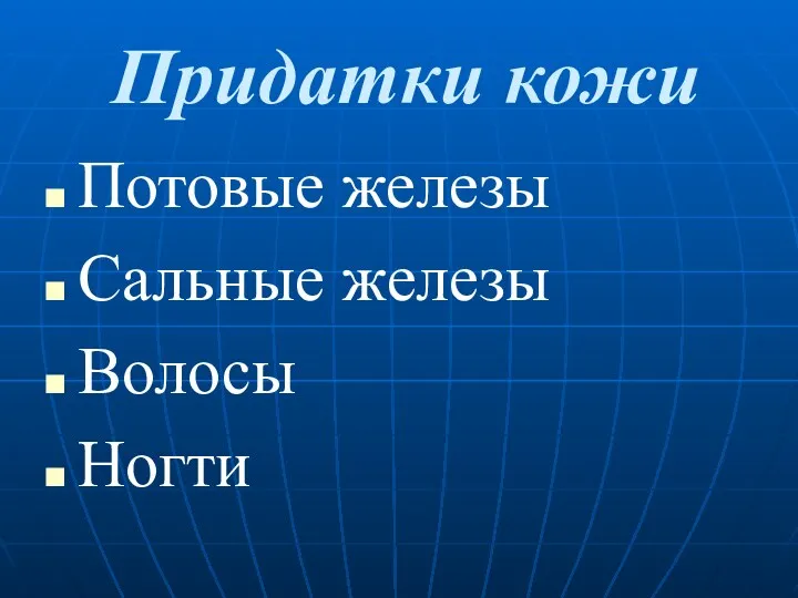 Придатки кожи Потовые железы Сальные железы Волосы Ногти