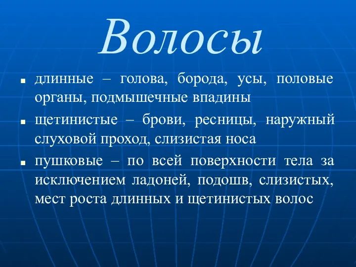 Волосы длинные – голова, борода, усы, половые органы, подмышечные впадины