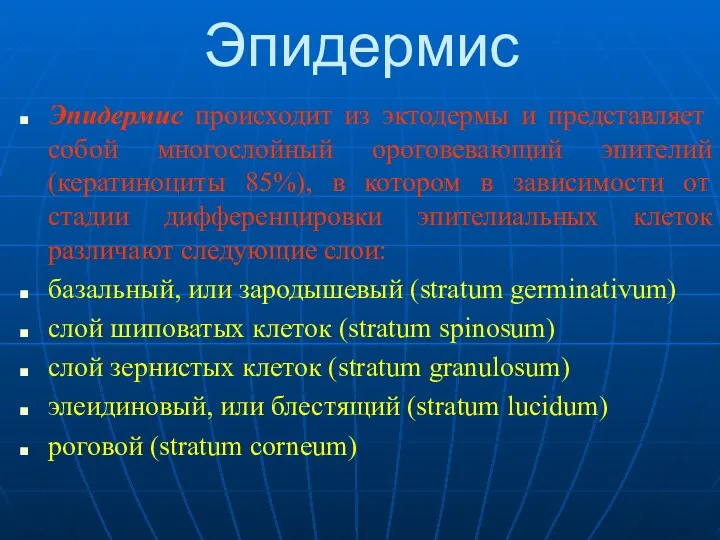 Эпидермис Эпидермис происходит из эктодермы и представляет собой многослойный ороговевающий