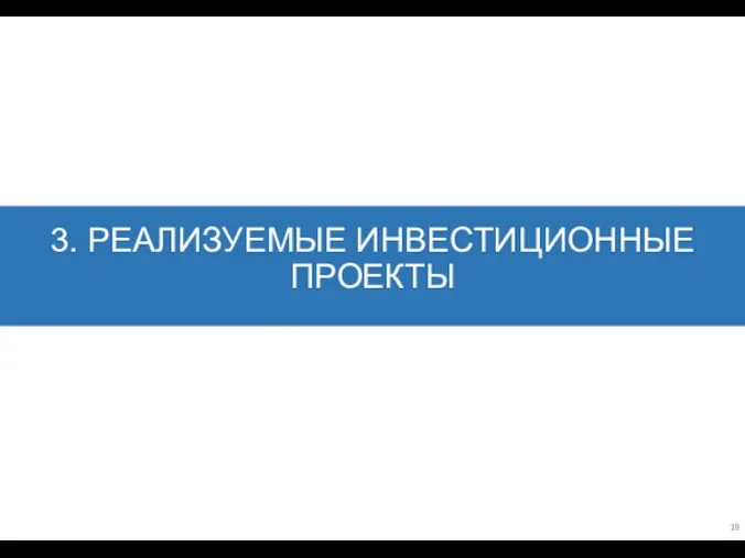 3. РЕАЛИЗУЕМЫЕ ИНВЕСТИЦИОННЫЕ ПРОЕКТЫ 19