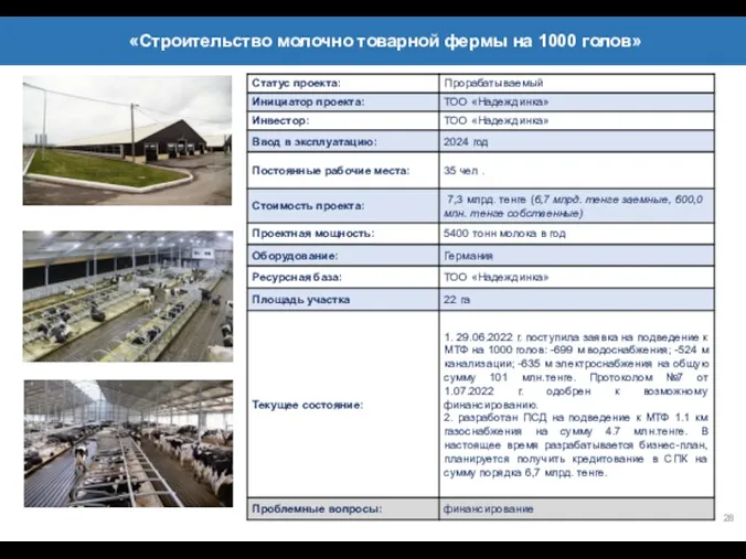 28 СПИСОК ПРОЕКТОВ, ПЛАНИРУЕМЫЕ ДО 2025 ГОДА «Строительство молочно товарной фермы на 1000 голов»