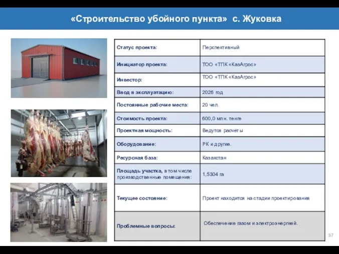 37 СПИСОК ПРОЕКТОВ, ПЛАНИРУЕМЫЕ ДО 2025 ГОДА «Строительство убойного пункта» с. Жуковка