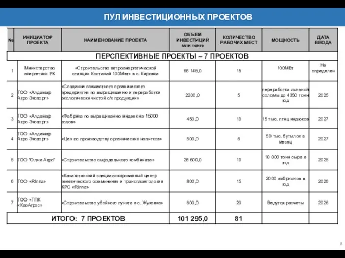 8 ПУЛ ИНВЕСТИЦИОННЫХ ПРОЕКТОВ