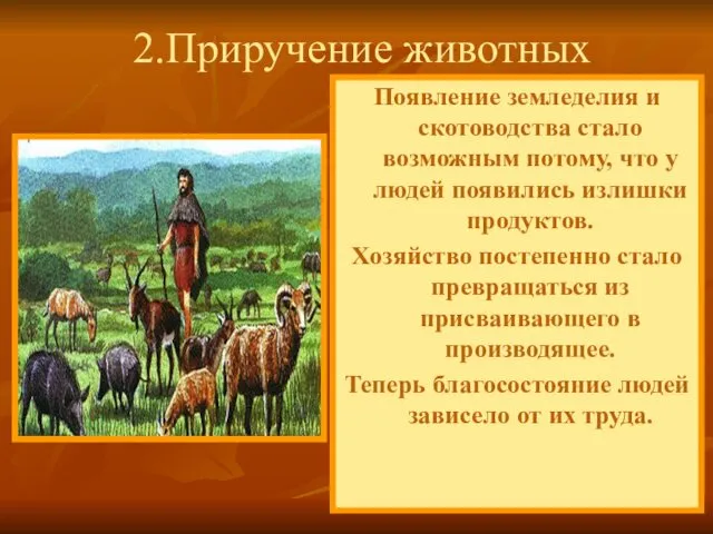 В это же время появилось скотоводство. Мужчины возвращаясь с охоты