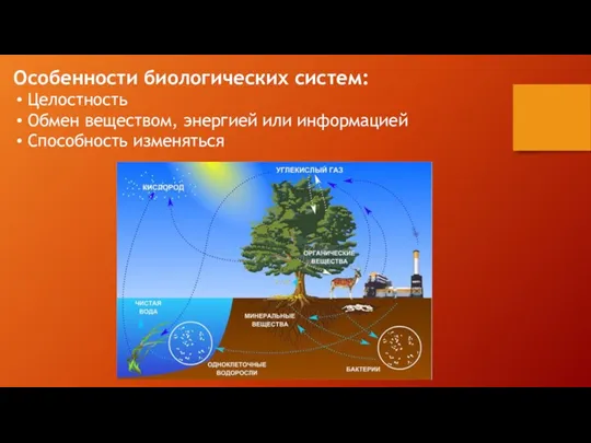 Особенности биологических систем: Целостность Обмен веществом, энергией или информацией Способность изменяться