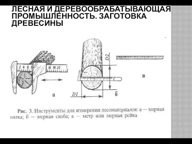 ЛЕСНАЯ И ДЕРЕВООБРАБАТЫВАЮЩАЯ ПРОМЫШЛЕННОСТЬ. ЗАГОТОВКА ДРЕВЕСИНЫ