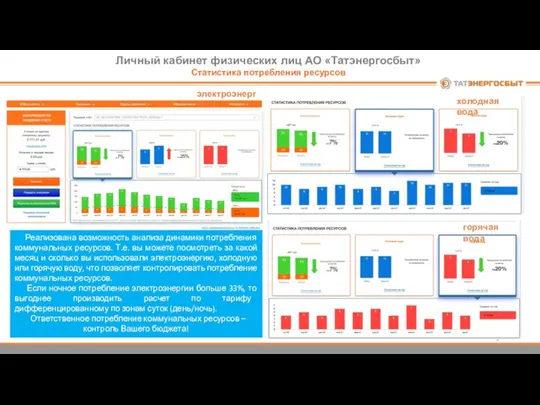 Личный кабинет физических лиц АО «Татэнергосбыт» Статистика потребления ресурсов Реализована