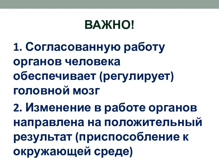 ВАЖНО! 1. Согласованную работу органов человека обеспечивает (регулирует) головной мозг