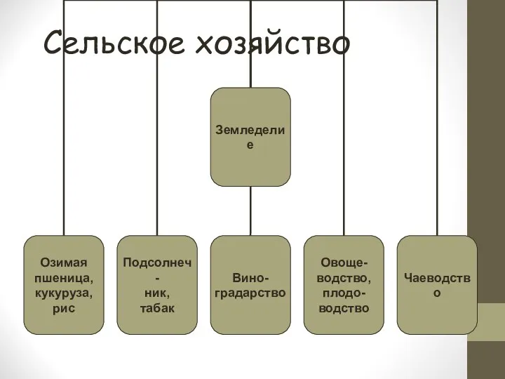 Сельское хозяйство