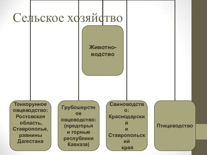 Сельское хозяйство