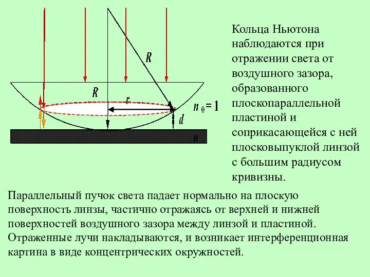 Кольца Ньютона наблюдаются при отражении света от воздушного зазора, образованного