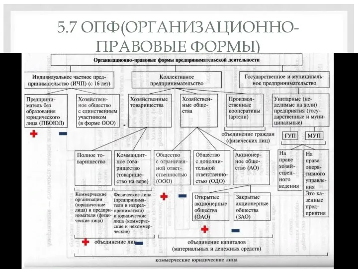 5.7 ОПФ(ОРГАНИЗАЦИОННО- ПРАВОВЫЕ ФОРМЫ)