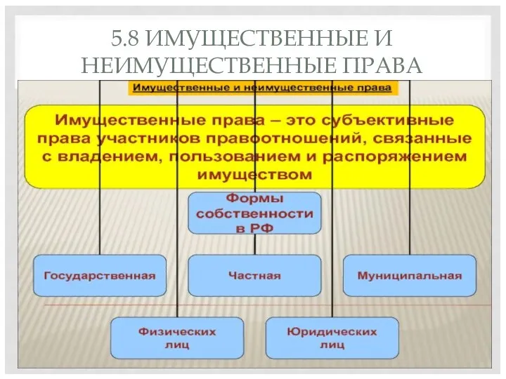 5.8 ИМУЩЕСТВЕННЫЕ И НЕИМУЩЕСТВЕННЫЕ ПРАВА