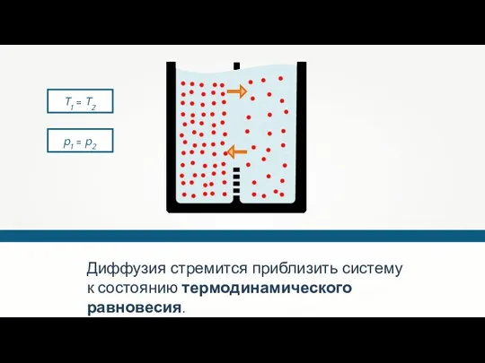 Диффузия стремится приблизить систему к состоянию термодинамического равновесия. T1 = T2 p1 = p2