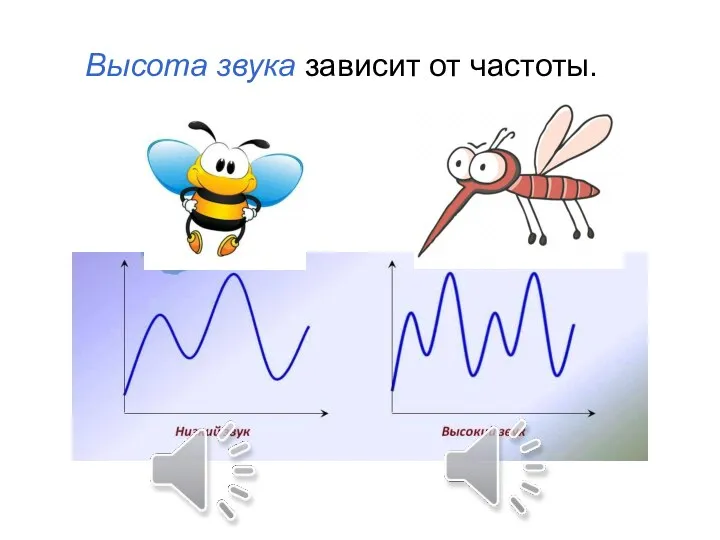 Высота звука зависит от частоты.