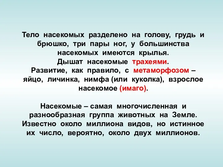 Тело насекомых разделено на голову, грудь и брюшко, три пары