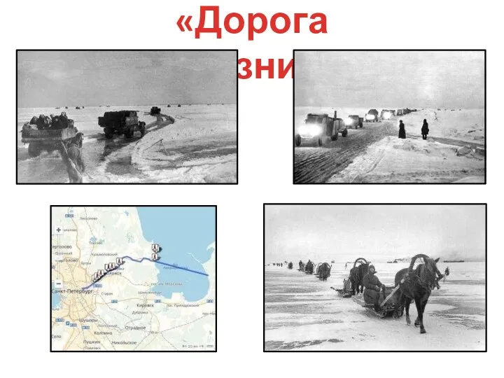 «Дорога жизни»