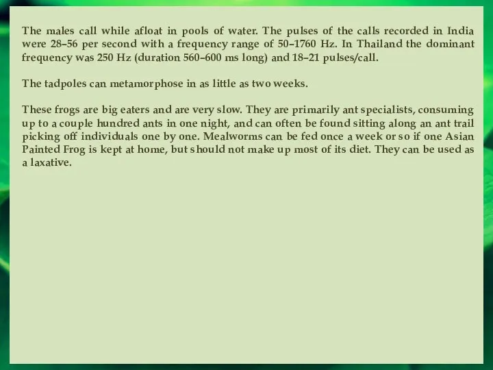 The males call while afloat in pools of water. The pulses of the