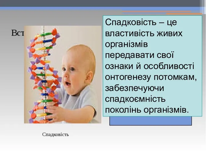 Спадковість – це властивість живих організмів передавати свої ознаки й