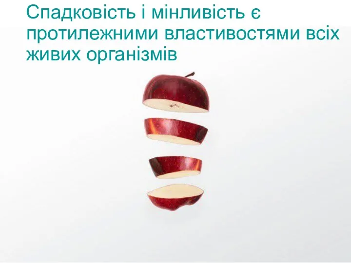 Спадковість і мінливість є протилежними властивостями всіх живих організмів